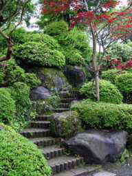Japanese Garden