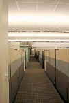 Cubicle Land